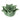 Lotus Flower Green Tealight Holder