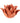 Paradise Flower Terracotta Tealight Holder