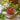 Paradise Flower Terracotta Tealight Holder