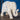Large Elephant Resin Ornament
