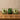Three green candles with gold designs on a wooden surface and beige background