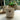 Ceramic Teabag Holder with Bee Design