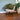 Green blanket draped over a white chair  with the green faux fur cushion on top in a room with a plant and wooden floor.