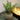 Small potted plant on a surface with a blurred background