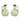 Two glass green oil bottles with wooden lids on a white background