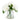 White hydrangeas arrangement in a clear glass vase with green leaves