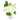 White roses floral arrangement with leaves in a clear ribbed vase
