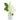 White roses bouquet with mixed foliage in a small glass vase