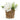 Artificial white roses in a rustic woven basket with greenery