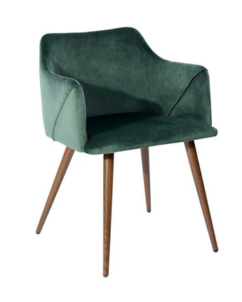 Set of 2 Aldridge Dining Chair in Dark Green