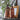 Vintage Style Glass "Oil" Storage Jar in Amber Gold