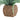 Woven basket with a plant on a white background
