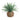 Faux fern plant in a woven basket on a white background