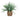 Artificial fern plant in a woven basket on a white background