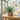 Potted plant on a wooden table in a sunroom with framed pictures on the wall.