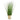 Potted plant with long green leaves in a woven basket on a white background