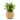 Artificial plant in a woven basket pot on a white background