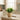Green plant in a woven pot on a kitchen counter with light curtains in the background