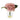 Clear glass vase with pink flowers on a white background