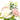 Bouquet of pink and white roses with green leaves on a white background
