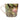 Green bone china mug with floral design