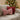 bow cushion: lifestyle view 2 of the red and white striped bow cushion in cotton velvet styled in a festive home setting