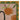 Close-up of orange pattern on coir doormat with green trim