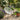White patio egg chair outdoor on a stone patio with garden and flowers in the background.