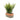 Lifelike Green Fern in Modern Cement Pot