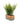 Lifelike Green Fern in Modern Cement Pot