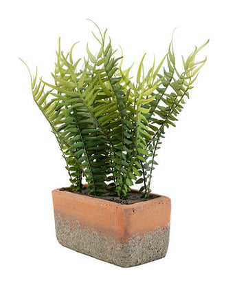 Lifelike Green Fern in Modern Cement Pot