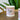 Tankard Mug Cheetah Print