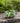 Green Artificial Succulent Plant in a Black Round Iron Pot
