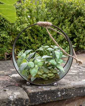 Green Artificial Succulent Plant in a Black Round Iron Pot