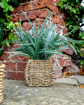 Green Artificial Fern Plant in a Beige Seagrass Woven Basket