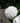 White Lifelike Faux Dahlia Flower