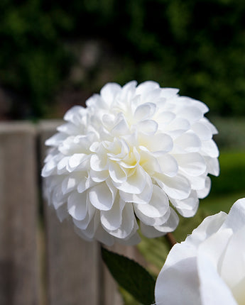 White Lifelike Faux Dahlia Flower