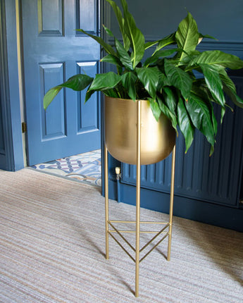 Chic Gold Metal Planter with Stylish Stand