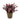 Artificial eucalyptus plant with burgundy leaves in a brown pot isolated on a white background.