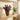 Decorative eucalyptus plant in a brown pot displayed on a wooden shelf with soft natural lighting.