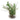 Serene Green Lifelike Plant Arrangement in Clear Glass Fishbowl