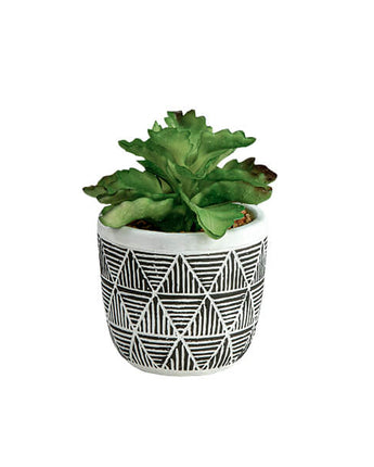 Chic Green Lifelike Succulent in Black and White Geometric Pot