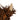 Close-up of a decorative fake cow head's horn on a white background