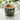 Green tankard mug patterned with lemons and leaves, on white countertop with tea inside it