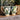 Emerald Green Leaves and Birds Footed Mugs with a White Handle