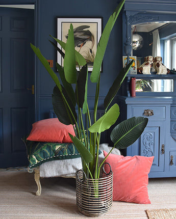 Lifelike Tall Green Strelitzia in Sleek Black Pot