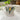 White mug with lemon and leaf design on a marble surface with plants in the background