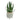 Radiant Lifelike Aloe Vera in Chic White Pot