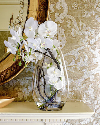 Elegant Bloom White Orchid in Clear Glass Vase