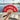 Hand holding a red fan with 'It's Fucking Hot' text by a poolside with sunglasses and book.